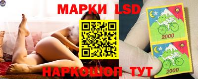 мяу мяу мука Аргун