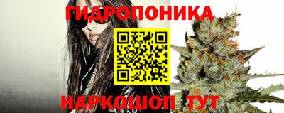 ПСИЛОЦИБИНОВЫЕ ГРИБЫ Канаш