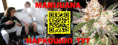 мяу мяу мука Аргун