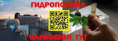 ПСИЛОЦИБИНОВЫЕ ГРИБЫ Канаш