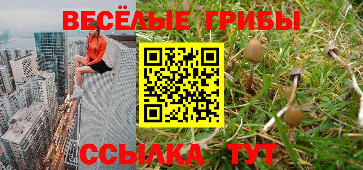 Галлюциногенные грибы GOLDEN TEACHER  Галлюциногенные грибы Psilocybine cubensis  Урус-Мартан 