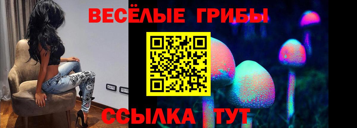 Псилоцибиновые грибы MAGIC MUSHROOMS  Вход с VPN  Урус-Мартан 